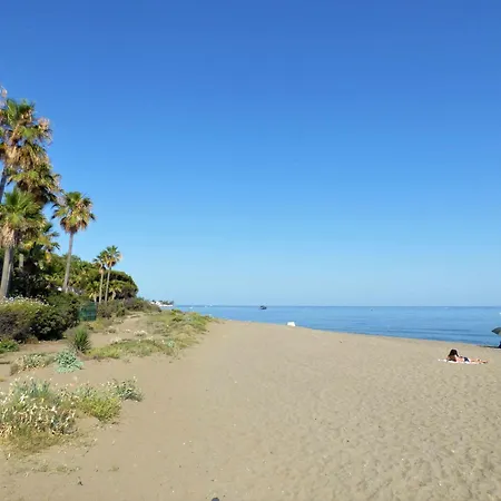 Selecta Roof Pool 3 Естепона