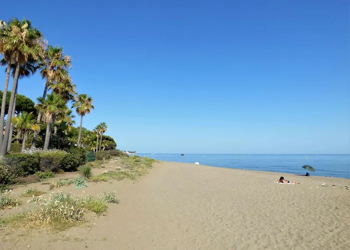 Selecta Roof Pool 3 Estepona