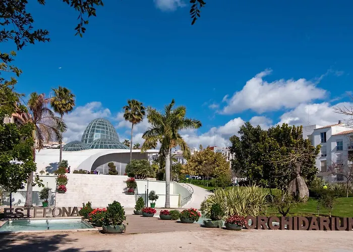 Selecta Roof Pool 3 Daire *